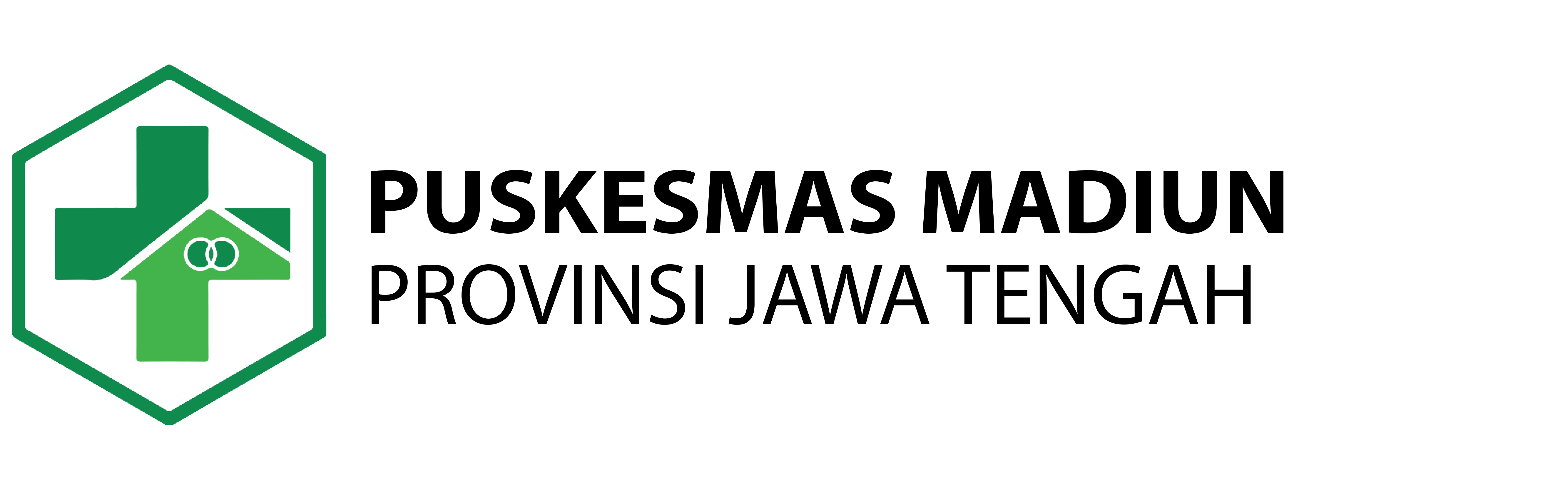 Logo Puskesmas